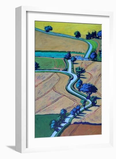 Lane in summer close up-Paul Powis-Framed Giclee Print