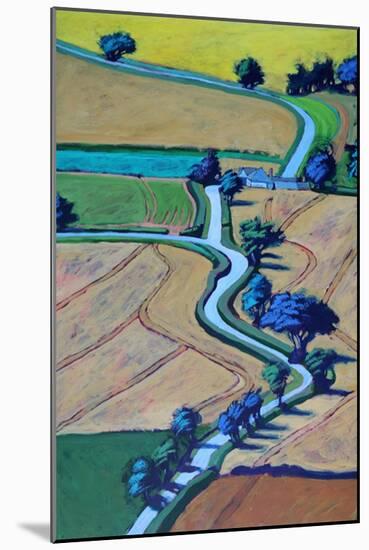Lane in summer close up-Paul Powis-Mounted Giclee Print