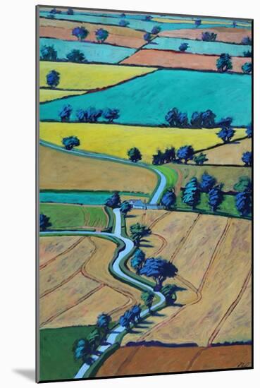 Lane in summer-Paul Powis-Mounted Giclee Print