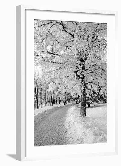 Lane in Town Park-basel101658-Framed Photographic Print