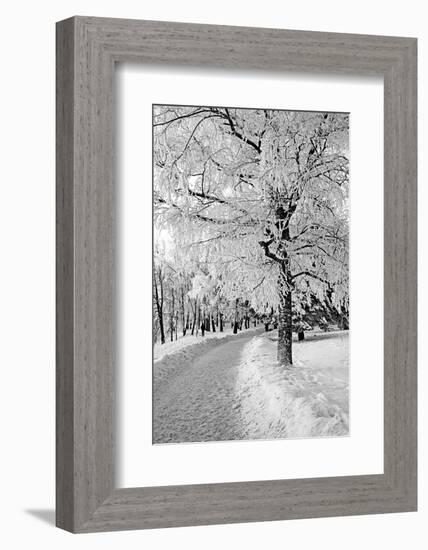 Lane in Town Park-basel101658-Framed Photographic Print