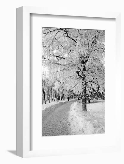 Lane in Town Park-basel101658-Framed Photographic Print