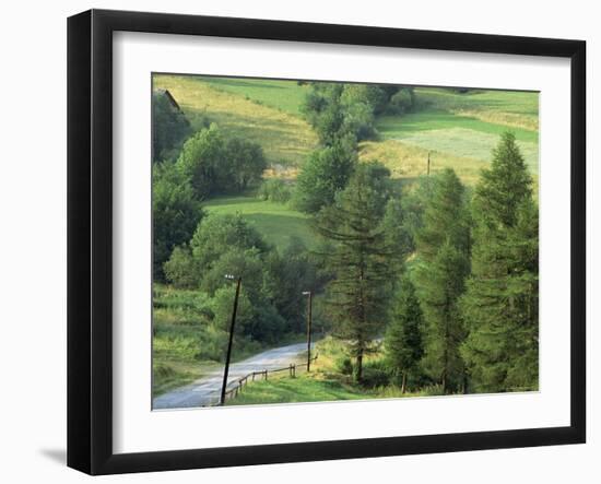 Lane Near the Polish Border, Near Zdiar, High Tatras, Slovakia-Upperhall-Framed Photographic Print