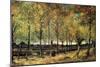 Lane with Poplars-Vincent van Gogh-Mounted Art Print