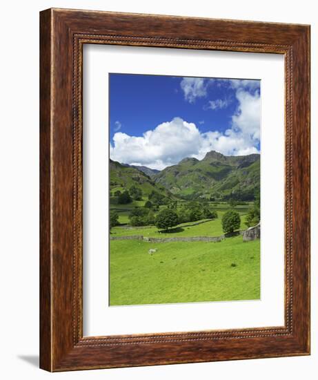 Langdale Pikes, Lake District National Park, Cumbria, England, United Kingdom, Europe-Jeremy Lightfoot-Framed Photographic Print