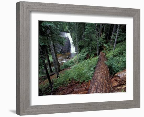 Langfield Falls, Gifford Pinchot National Forest, Washington, USA-William Sutton-Framed Photographic Print