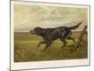 Premium Giclee Print