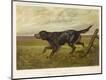 Premium Giclee Print