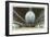 Langley Field, Virginia - Airship Hangar Interior View-Lantern Press-Framed Art Print