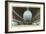 Langley Field, Virginia - Airship Hangar Interior View-Lantern Press-Framed Art Print