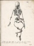 Skeleton of an Adult Patient Afflicted with Rickets-Langlume-Art Print