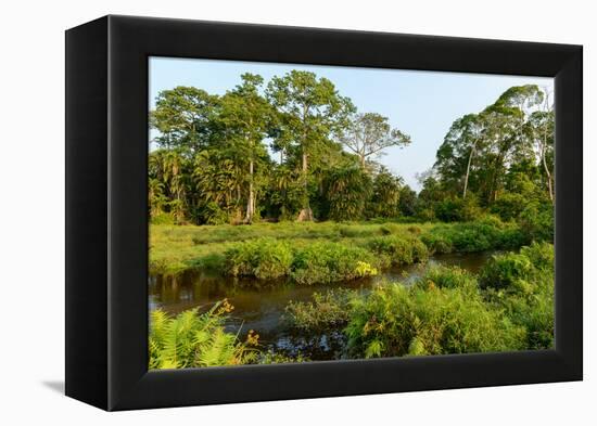 Lango Bai. Odzala-Kokoua National Park. Congo-Roger De La Harpe-Framed Premier Image Canvas