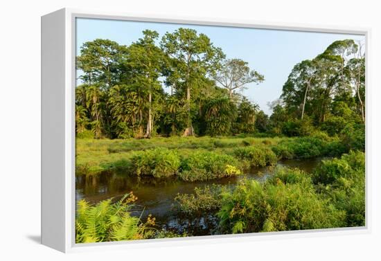 Lango Bai. Odzala-Kokoua National Park. Congo-Roger De La Harpe-Framed Premier Image Canvas