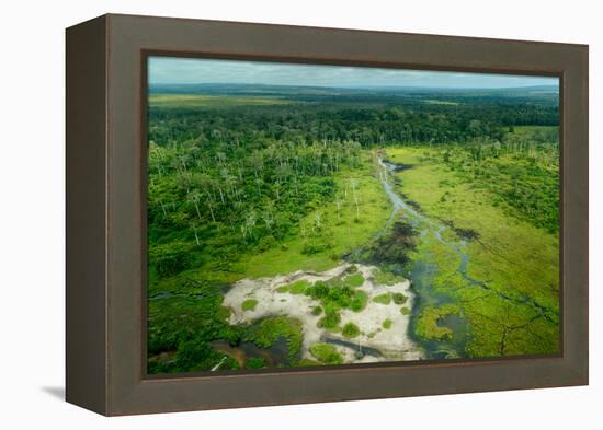 Lango Bai. Odzala-Kokoua National Park. Congo-Roger De La Harpe-Framed Premier Image Canvas