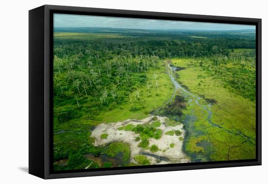 Lango Bai. Odzala-Kokoua National Park. Congo-Roger De La Harpe-Framed Premier Image Canvas