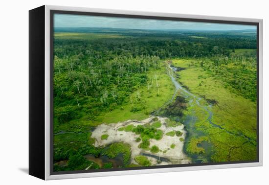 Lango Bai. Odzala-Kokoua National Park. Congo-Roger De La Harpe-Framed Premier Image Canvas