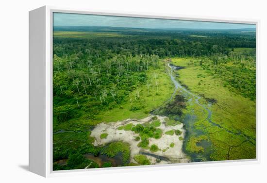 Lango Bai. Odzala-Kokoua National Park. Congo-Roger De La Harpe-Framed Premier Image Canvas