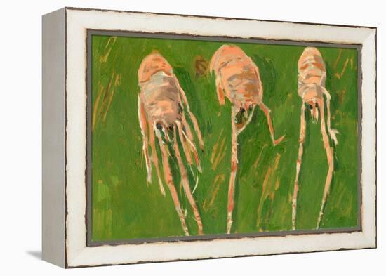 Langoustines, 2000-Delphine D. Garcia-Framed Premier Image Canvas