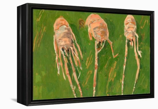 Langoustines, 2000-Delphine D. Garcia-Framed Premier Image Canvas
