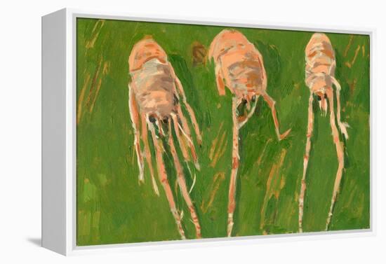 Langoustines, 2000-Delphine D. Garcia-Framed Premier Image Canvas