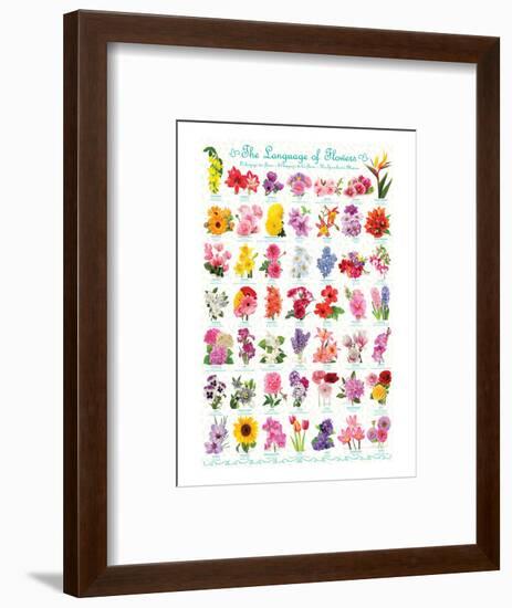 Language of Flowers-null-Framed Art Print