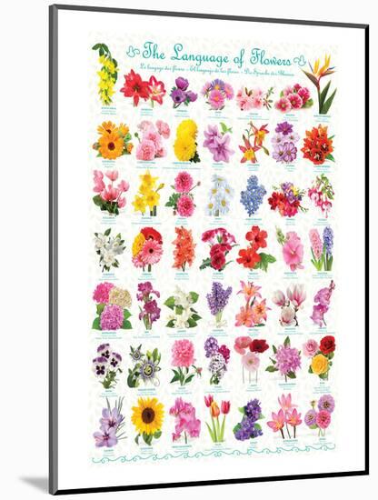 Language of Flowers-null-Mounted Art Print