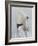 Langur Monkey-Lincoln Seligman-Framed Giclee Print
