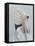 Langur Monkey-Lincoln Seligman-Framed Premier Image Canvas