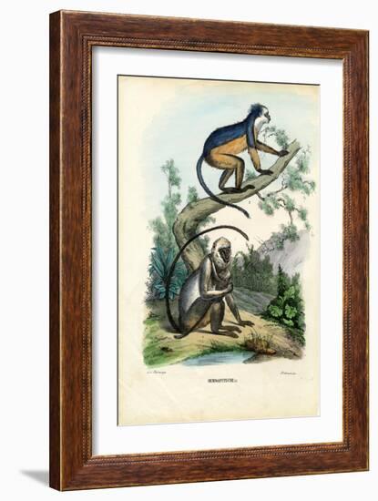 Langurs, 1863-79-Raimundo Petraroja-Framed Giclee Print