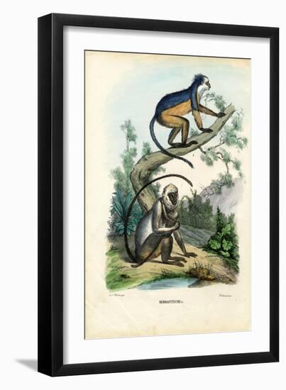 Langurs, 1863-79-Raimundo Petraroja-Framed Giclee Print