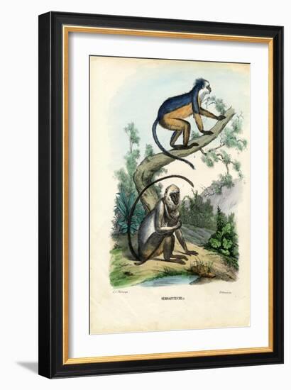 Langurs, 1863-79-Raimundo Petraroja-Framed Giclee Print