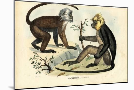 Langurs, 1863-79-Raimundo Petraroja-Mounted Giclee Print