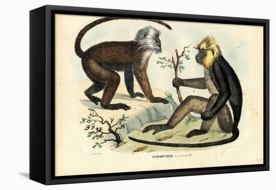 Langurs, 1863-79-Raimundo Petraroja-Framed Premier Image Canvas