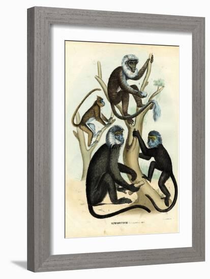 Langurs, 1863-79-Raimundo Petraroja-Framed Giclee Print