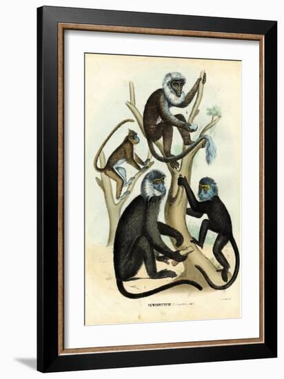 Langurs, 1863-79-Raimundo Petraroja-Framed Giclee Print