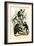Langurs, 1863-79-Raimundo Petraroja-Framed Giclee Print