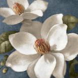 Tonal Magnolias II-Lanie Loreth-Art Print