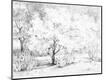 Premium Giclee Print