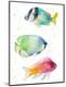 Premium Giclee Print