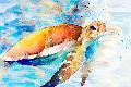 Premium Giclee Print