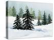 Stretched Canvas Print