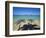 Lanikai Beach, Oahu, Hawaii, Hawaiian Islands, USA-null-Framed Photographic Print