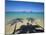 Lanikai Beach, Oahu, Hawaii, Hawaiian Islands, USA-null-Mounted Photographic Print