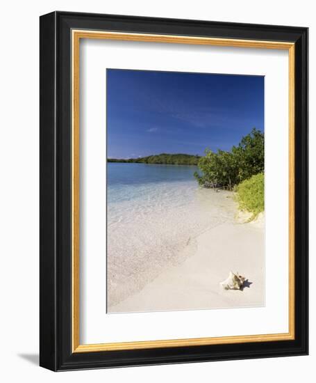 Lanqui, Los Roques, Venezuela, South America-Sergio Pitamitz-Framed Photographic Print