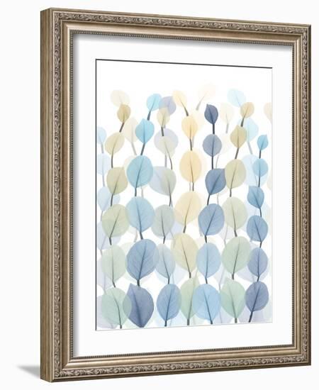 Lantern Forest 2-Albert Koetsier-Framed Photographic Print