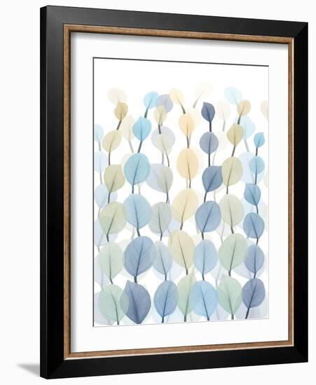 Lantern Forest 2-Albert Koetsier-Framed Photographic Print