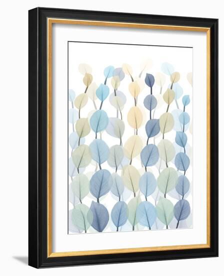 Lantern Forest 2-Albert Koetsier-Framed Photographic Print