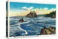 Stretched Canvas Print