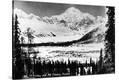 Stretched Canvas Print