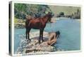 Stretched Canvas Print